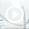 Видеообзор товара Ювелирный магазин Diamond Gallery. Видеообзор товара